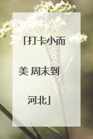 打卡小而美 周末到河北