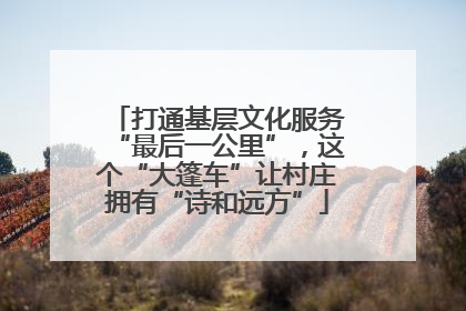 打通基层文化服务“最后一公里”，这个“大篷车”让村庄拥有“诗和远方”