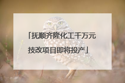 抚顺齐隆化工千万元技改项目即将投产