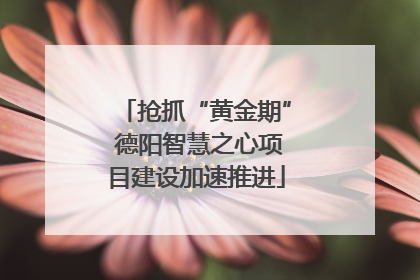 抢抓“黄金期” 德阳智慧之心项目建设加速推进