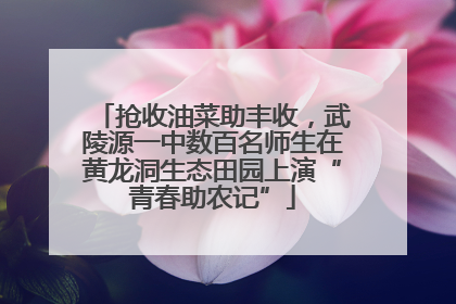 抢收油菜助丰收，武陵源一中数百名师生在黄龙洞生态田园上演“青春助农记”