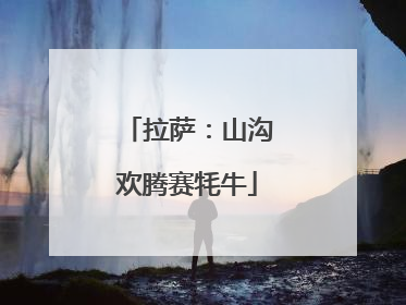 拉萨：山沟欢腾赛牦牛