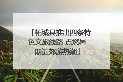 柘城县推出四条特色文旅线路 点燃暑期近郊游热潮