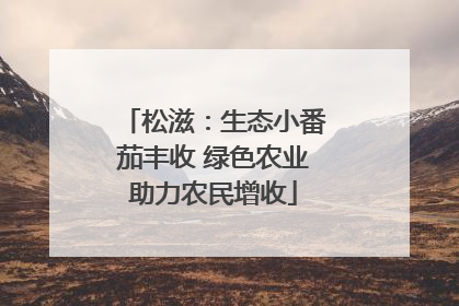 松滋：生态小番茄丰收 绿色农业助力农民增收