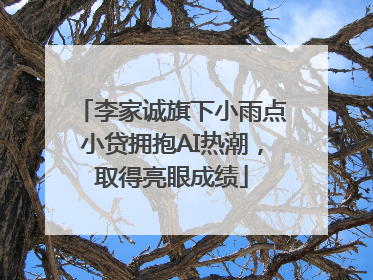 李家诚旗下小雨点小贷拥抱AI热潮，取得亮眼成绩