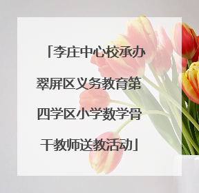 李庄中心校承办翠屏区义务教育第四学区小学数学骨干教师送教活动