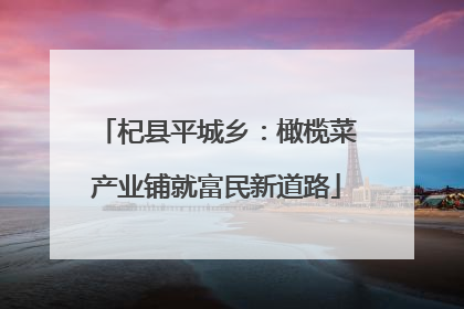 杞县平城乡：橄榄菜产业铺就富民新道路