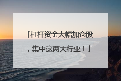 杠杆资金大幅加仓股，集中这两大行业！