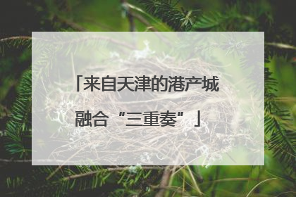来自天津的港产城融合“三重奏”