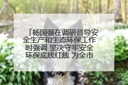 杨国强在调研督导安全生产和生态环保工作时强调 坚决守牢安全环保底线红线 为全市经济社会高质量发展提供坚强保障