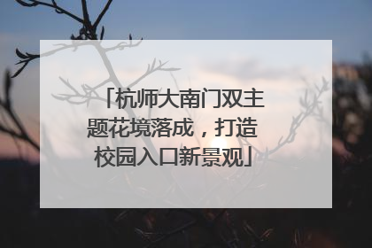 杭师大南门双主题花境落成，打造校园入口新景观
