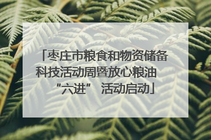 枣庄市粮食和物资储备科技活动周暨放心粮油 “六进” 活动启动