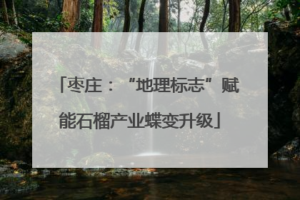 枣庄：“地理标志”赋能石榴产业蝶变升级
