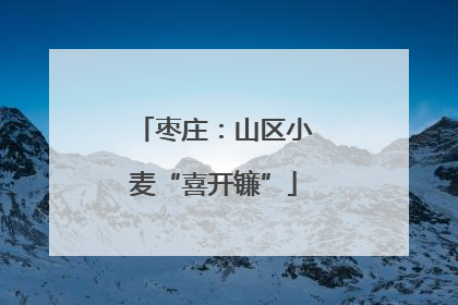 枣庄：山区小麦“喜开镰”