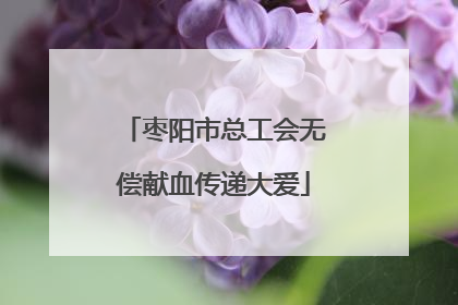 枣阳市总工会无偿献血传递大爱