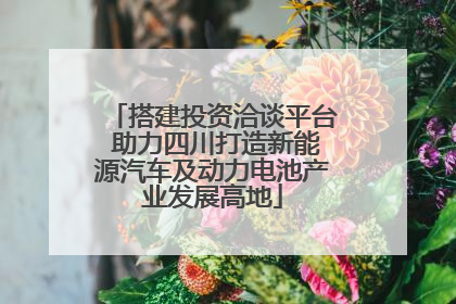 搭建投资洽谈平台 助力四川打造新能源汽车及动力电池产业发展高地