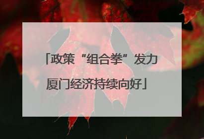 政策“组合拳”发力 厦门经济持续向好