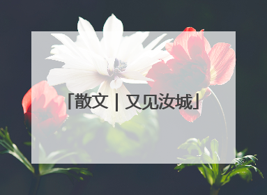 散文｜又见汝城