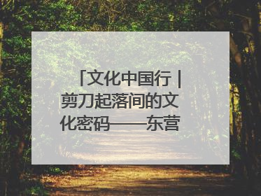 文化中国行｜剪刀起落间的文化密码——东营剪纸“剪”出非遗传承与现代生活的融合之道