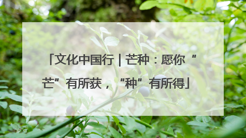 文化中国行｜芒种：愿你“芒”有所获，“种”有所得
