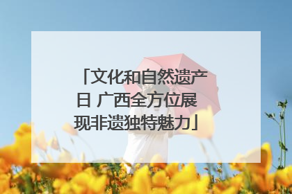 文化和自然遗产日 广西全方位展现非遗独特魅力