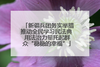 新疆兵团务实举措推动全民学习民法典 用法治力量托起群众“稳稳的幸福”