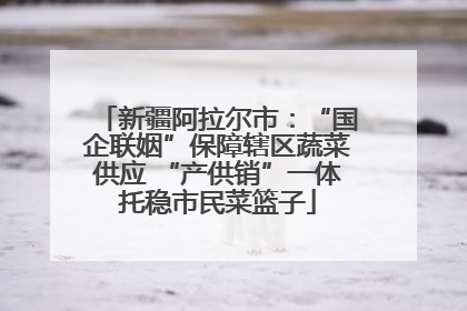 新疆阿拉尔市：“国企联姻”保障辖区蔬菜供应 “产供销”一体托稳市民菜篮子