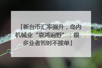 新台币汇率强升，岛内机械业“哀鸿遍野”：很多业者暂时不接单