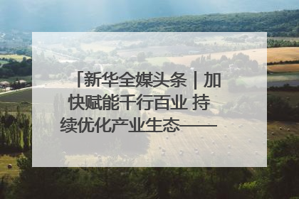 新华全媒头条｜加快赋能千行百业 持续优化产业生态——浙江推动人工智能健康有序发展观察