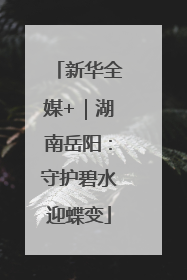 新华全媒+｜湖南岳阳：守护碧水迎蝶变