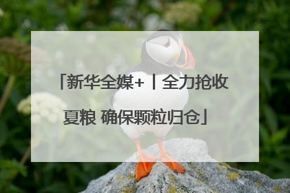 新华全媒+丨全力抢收夏粮 确保颗粒归仓