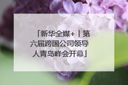 新华全媒+丨第六届跨国公司领导人青岛峰会开幕
