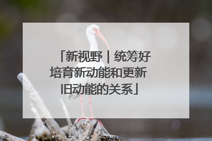 新视野｜统筹好培育新动能和更新旧动能的关系
