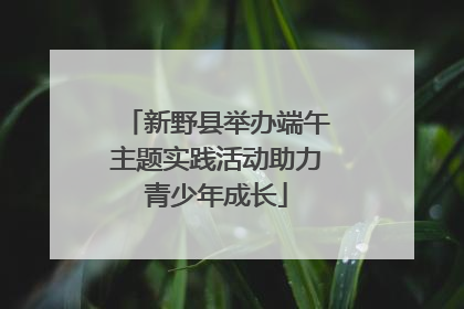 新野县举办端午主题实践活动助力青少年成长