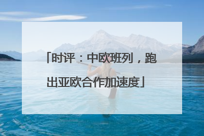 时评：中欧班列，跑出亚欧合作加速度