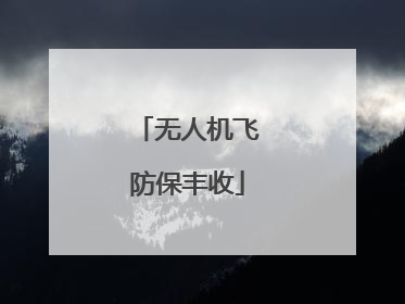 无人机飞防保丰收