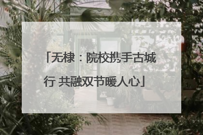 无棣：院校携手古城行 共融双节暖人心
