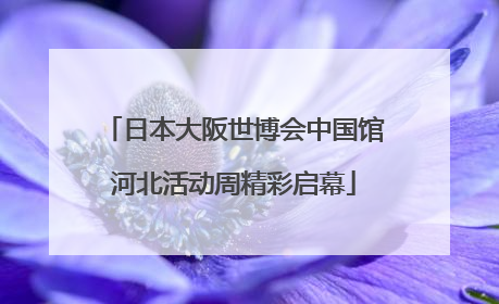 日本大阪世博会中国馆河北活动周精彩启幕
