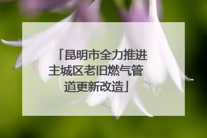 昆明市全力推进主城区老旧燃气管道更新改造