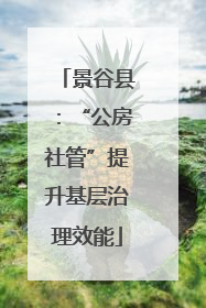 景谷县：“公房社管”提升基层治理效能