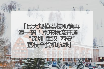 最大规模荔枝助销再添一码！京东物流开通“深圳-武汉-西安” 荔枝全货机航线