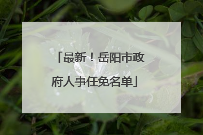 最新！岳阳市政府人事任免名单
