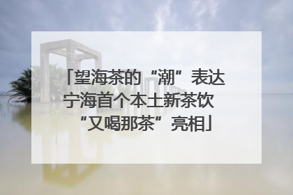 望海茶的“潮”表达 宁海首个本土新茶饮“又喝那茶”亮相