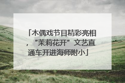 木偶戏节目精彩亮相，“茉莉花开”文艺直通车开进海师附小