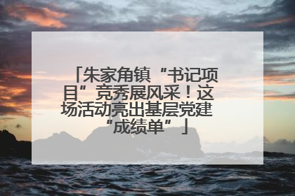 朱家角镇“书记项目”竞秀展风采！这场活动亮出基层党建“成绩单”