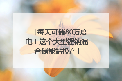 每天可储80万度电！这个大型锂钠混合储能站投产