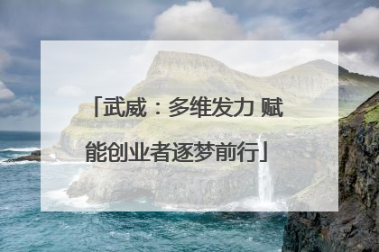 武威：多维发力 赋能创业者逐梦前行