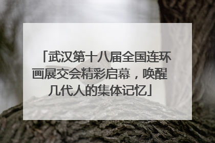 武汉第十八届全国连环画展交会精彩启幕，唤醒几代人的集体记忆