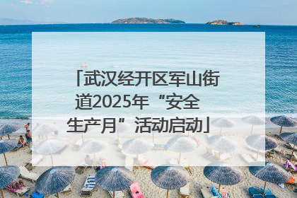 武汉经开区军山街道2025年“安全生产月”活动启动