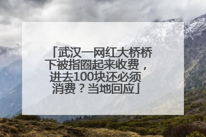 武汉一网红大桥桥下被指圈起来收费，进去100块还必须消费？当地回应